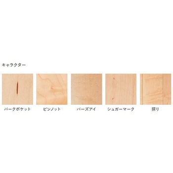 ライブナチュラルプラス for Dog 朝日ウッドテック