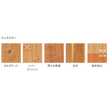 ライブナチュラルMSX 朝日ウッドテック