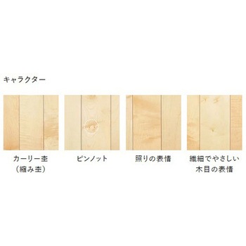 ライブナチュラルMSX 朝日ウッドテック