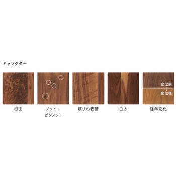 ライブナチュラルMSX 朝日ウッドテック