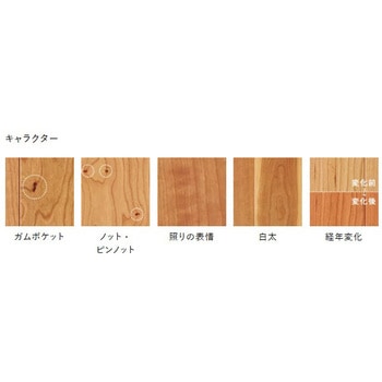 ライブナチュラルMSXスーパー6 for Dog 朝日ウッドテック