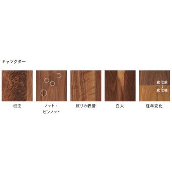 ライブナチュラルMSXスーパー6 for Dog 朝日ウッドテック