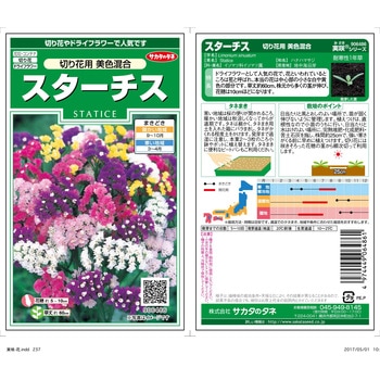 スターチス 切り花用美色 混合 サカタのタネ 植物 草花の種 通年 通販モノタロウ