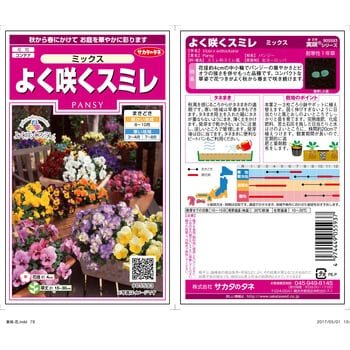 パンジー よく咲くスミレ ミックス サカタのタネ 植物 草花の種 通年 通販モノタロウ