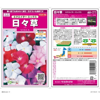 日々草 エクエイター ミックス サカタのタネ