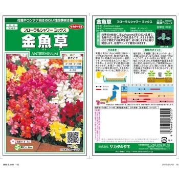 金魚草 フローラルシャワー ミックス サカタのタネ