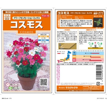 コスモス ドワーフセンセーションミックス サカタのタネ