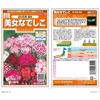 美女なでしこ 切り花用混合 1袋 サカタのタネ 【通販モノタロウ】