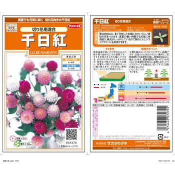千日紅 切り花用 混合 サカタのタネ