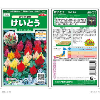 ケイトウ きもの 混合 サカタのタネ 植物 草花の種 通年 通販モノタロウ
