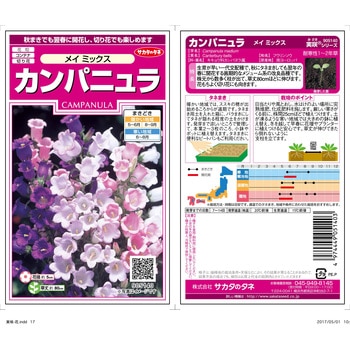 カンパニュラ メイ ミックス サカタのタネ