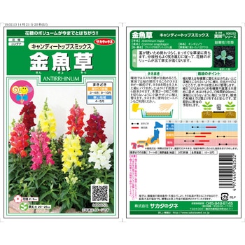 金魚草 キャンディートップス ミックス サカタのタネ