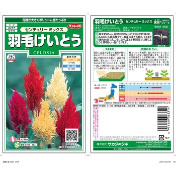 羽毛けいとう センチュリーミックス サカタのタネ
