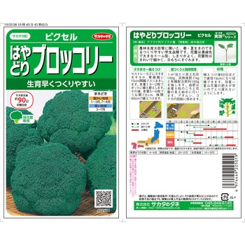 ブロッコリー ピクセル 1袋 サカタのタネ 【通販モノタロウ】