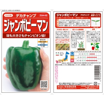ジャンボピーマン デカチャンプ サカタのタネ