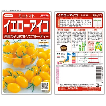 ミニトマト イエローアイコ サカタのタネ