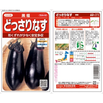 ナス 黒福 サカタのタネ