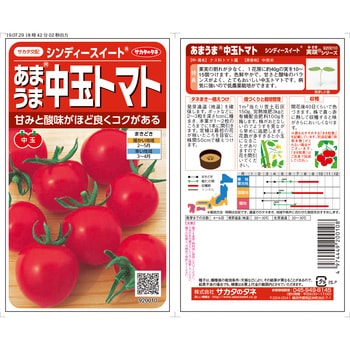 中玉トマト シンディースイート - サカタのタネ