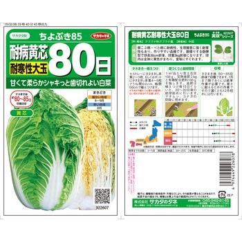 ハクサイ ちよぶき85 サカタのタネ