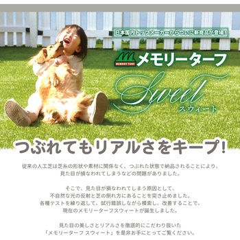 MTS20-0110 人工芝 景観用 メモリーターフスウィート20mm 1巻 メモリー