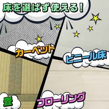 激落ちくん ちょい掃除 粘着クリーナー LEC(レック)