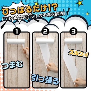 激落ちくん ちょい掃除 切れてる粘着クリーナー3P LEC(レック)