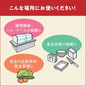スキッシュVつめかえ用 花王