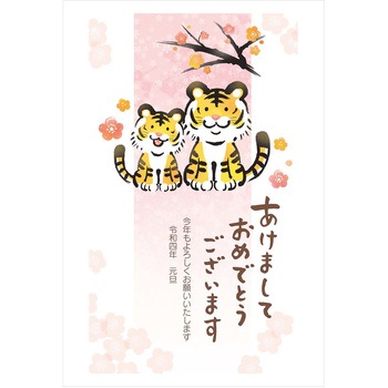 TJ639-30 ���N�ʕt���N���2022�� �t�@�~���[�f�U�C�� �v���v���X�Z���^�[ 72923166