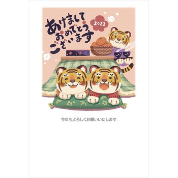 TL645-30 ���N�ʕt���N���2022�� �t�@�~���[�f�U�C�� �v���v���X�Z���^�[ 72923227