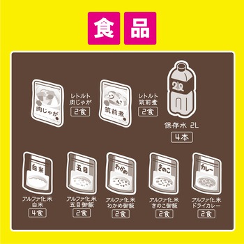 ライフラインボックス2人用 30点 アイリスオーヤマ