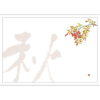 41-10249 テーブルマット 紙製(尺3サイズ) ササガワ 73038413