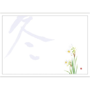 41-10250 テーブルマット 紙製(尺3サイズ) ササガワ 73038429