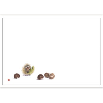 41-10260 テーブルマット 紙製(尺3サイズ) ササガワ 73038526