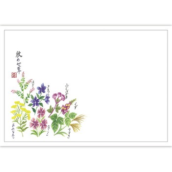 41-10270 テーブルマット 紙製(尺3サイズ) ササガワ 73038623