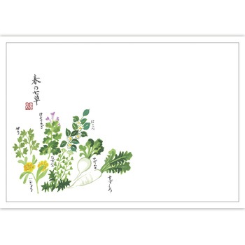 41-10271 テーブルマット 紙製(尺3サイズ) ササガワ 73038639