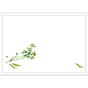 41-10295 テーブルマット 紙製(尺3サイズ) ササガワ 73038849