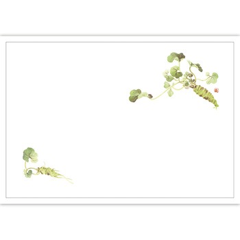 41-10297 テーブルマット 紙製(尺3サイズ) ササガワ 73038867