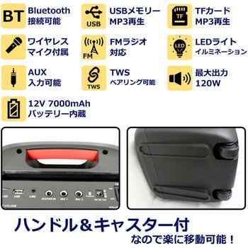 CTEY-2080F フレイムLEDパーティースピーカー CICONIA ブラック色