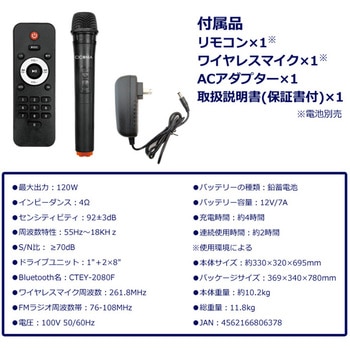 フレイムLEDパーティースピーカー CICONIA
