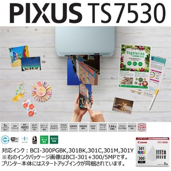 インクジェット複合機 TS7530 Canon