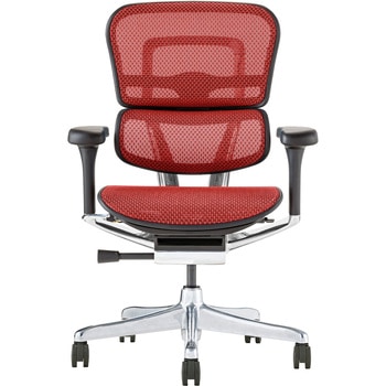 EHP2-LAM-DR-BF-RD�yPU�z�V��� �G���S�q���[�}�� �v��2 ���[�^�C�v �G���S�q���[�}��(Ergohuman) 73247959