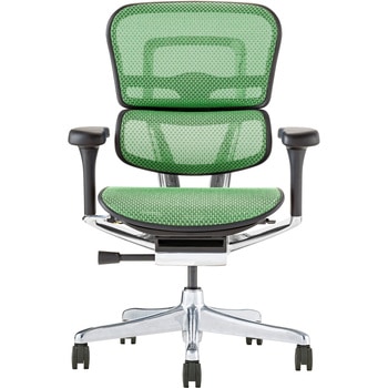 EHP2-LAM-DR-BF-GN�yPU�z�V��� �G���S�q���[�}�� �v��2 ���[�^�C�v �G���S�q���[�}��(Ergohuman) 73247977