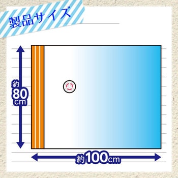 防ダニ 毛布・タオルケット圧縮袋 LEC(レック)
