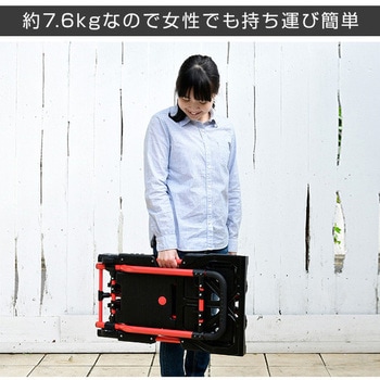 2Way トランスフォーム台車 折りたたみ式 YAMAZEN(山善)