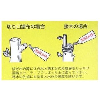 カルスメイト 富士薬品工業