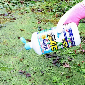 アースガーデン おうちの草コロリ コケ取りシャワー アース製薬