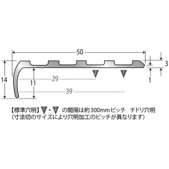 直販オンラインストア アシスト ノンスリップ アシステップ 10-1140 穴