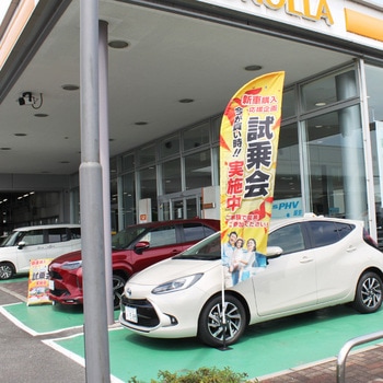 車用(タイヤ踏み込み式)ポールスタンド イタミアート