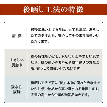 【名入れ】国産カラータオル120枚 レスタス