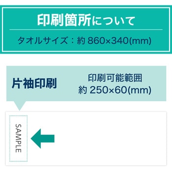 【名入れ】国産カラータオル120枚 レスタス
